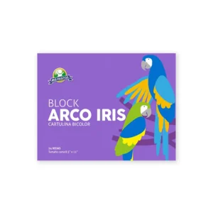 BLOCK T/C CARTULINA IRIS BICOLOR 24HJS SURT MIS PASITOS