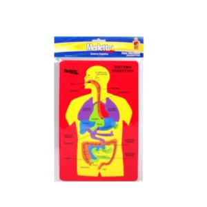 ROMPECABEZAS MERLETTO SISTEMA DIGESTIVO