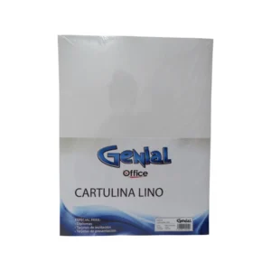 CARTULINA T/C PQT100 LINO BLANCA ATLANTA