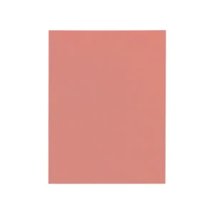 FOAMY T/C SALMON PQT10