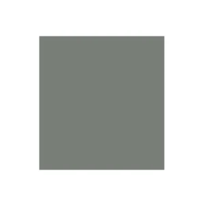 CARTULINA IRIS PQT25 ECONO GRIS GENIAL 50X65CM