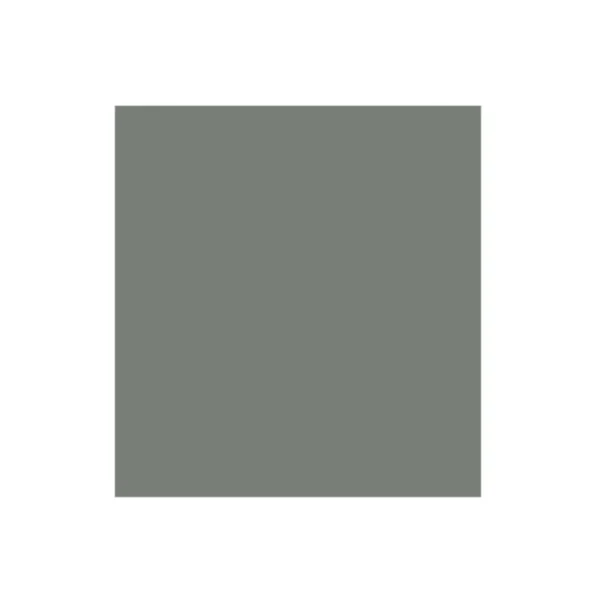 CARTULINA IRIS PQT25 ECONO GRIS GENIAL 50X65CM